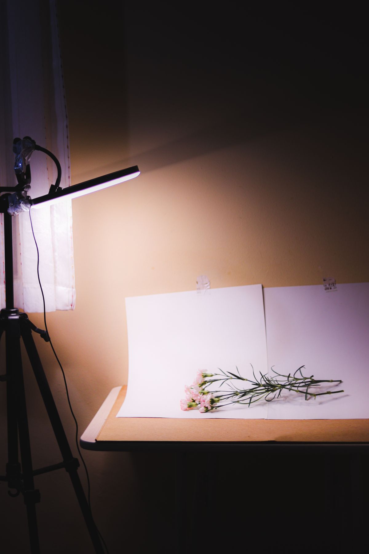 Diffused light panel above a white surface