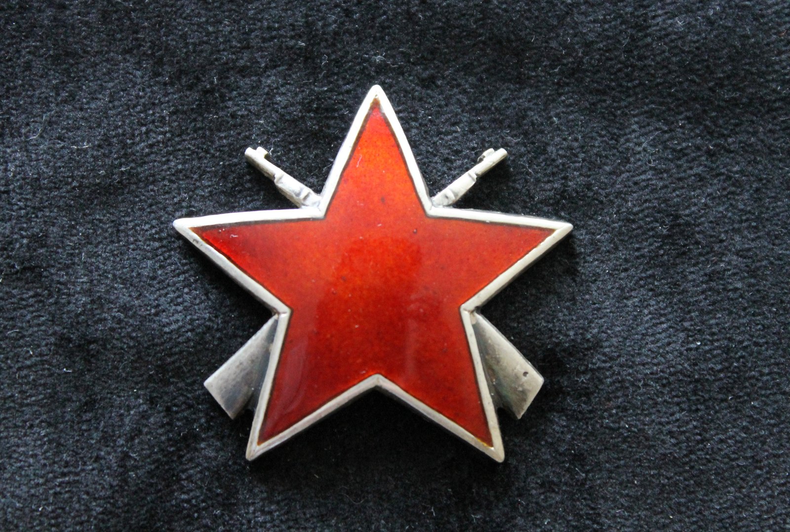 Order of the Partisan Star with rifles